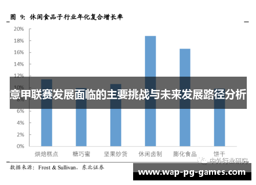 意甲联赛发展面临的主要挑战与未来发展路径分析