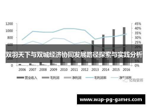 双羽天下与双城经济协同发展路径探索与实践分析