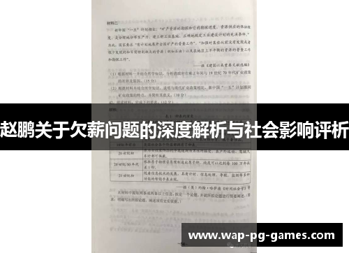 赵鹏关于欠薪问题的深度解析与社会影响评析