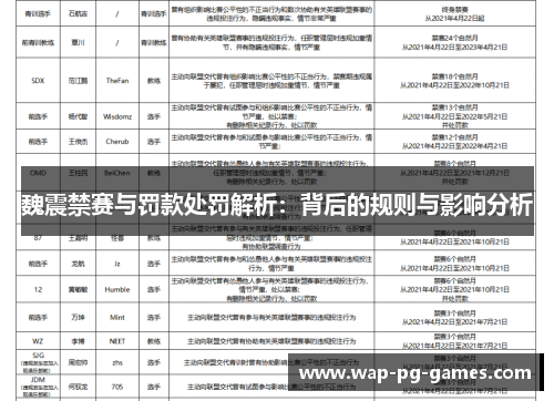 魏震禁赛与罚款处罚解析：背后的规则与影响分析
