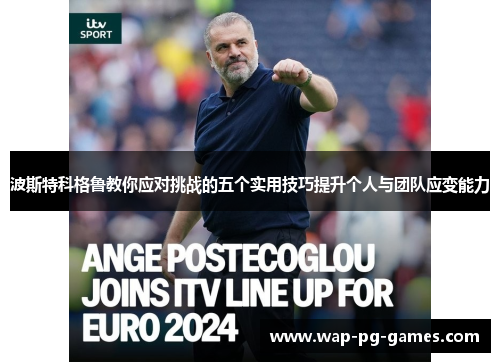 波斯特科格鲁教你应对挑战的五个实用技巧提升个人与团队应变能力