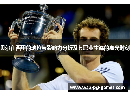 贝尔在西甲的地位与影响力分析及其职业生涯的高光时刻